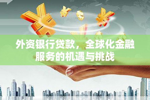 大冶外资银行贷款，全球化金融服务的机遇与挑战