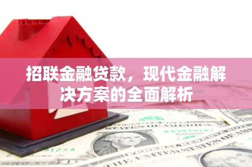 大冶招联金融贷款，现代金融解决方案的全面解析