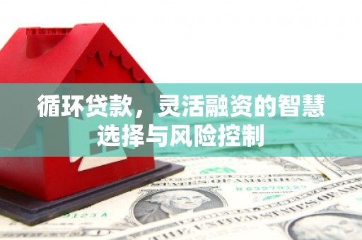 大冶循环贷款，灵活融资的智慧选择与风险控制