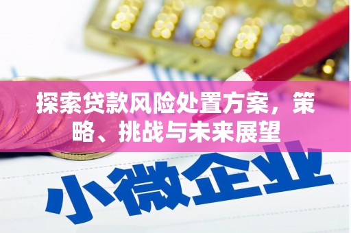 大冶探索贷款风险处置方案，策略、挑战与未来展望