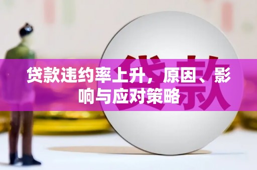 大冶贷款违约率上升，原因、影响与应对策略
