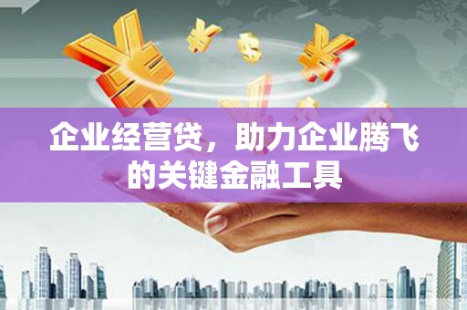 大冶企业经营贷，助力企业腾飞的关键金融工具