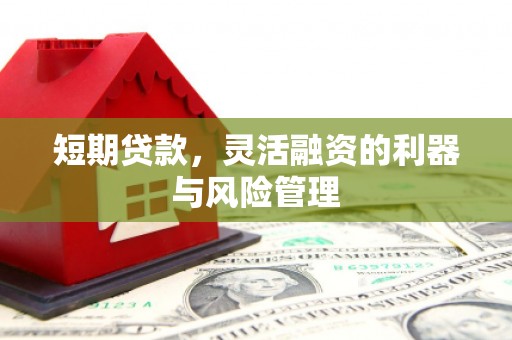 大冶短期贷款，灵活融资的利器与风险管理