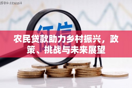 大冶农民贷款助力乡村振兴，政策、挑战与未来展望
