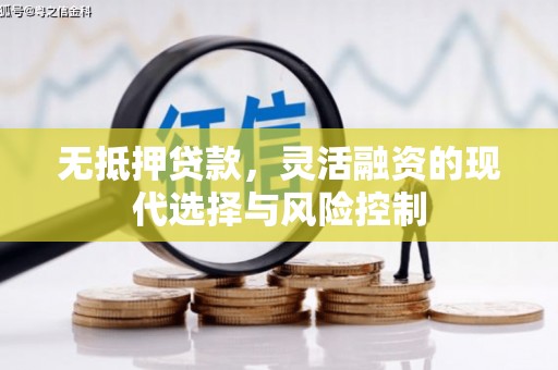 大冶无抵押贷款，灵活融资的现代选择与风险控制