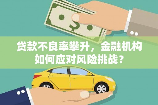 大冶贷款不良率攀升，金融机构如何应对风险挑战？