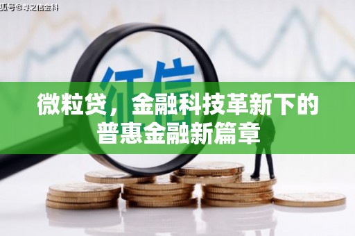 大冶微粒贷，金融科技革新下的普惠金融新篇章
