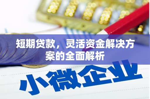 大冶短期贷款，灵活资金解决方案的全面解析