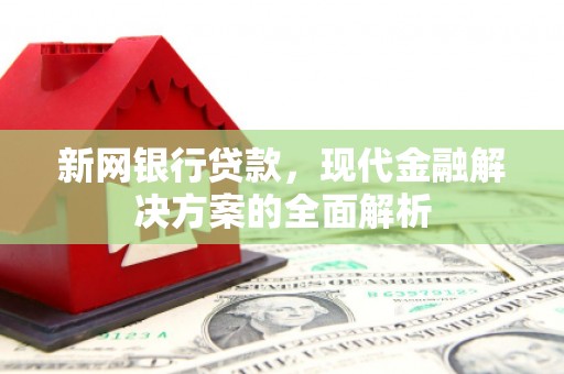 大冶新网银行贷款，现代金融解决方案的全面解析