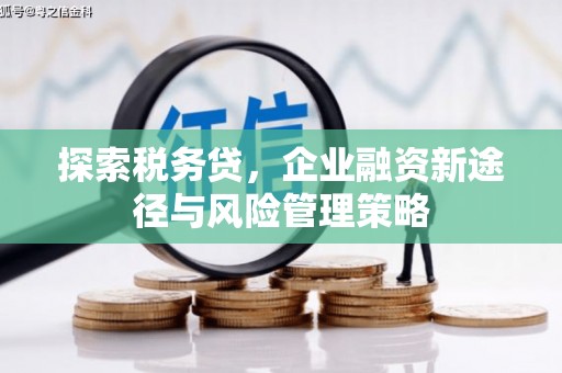 大冶探索税务贷，企业融资新途径与风险管理策略