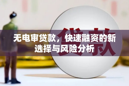 大冶无电审贷款，快速融资的新选择与风险分析