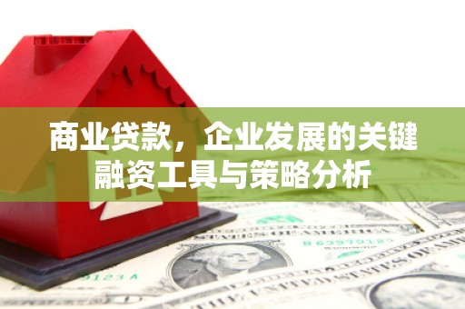 大冶商业贷款，企业发展的关键融资工具与策略分析