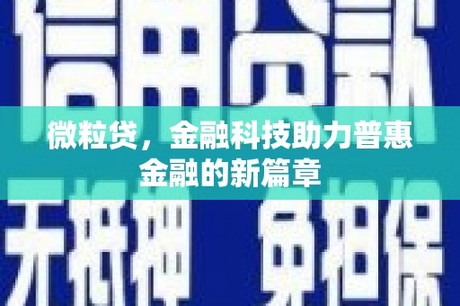 大冶微粒贷，金融科技助力普惠金融的新篇章