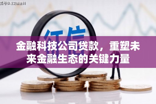 大冶金融科技公司贷款，重塑未来金融生态的关键力量