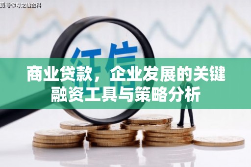 大冶商业贷款，企业发展的关键融资工具与策略分析