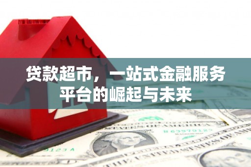 大冶贷款超市，一站式金融服务平台的崛起与未来