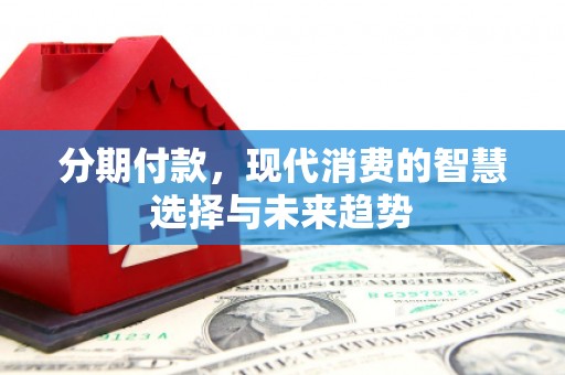 大冶分期付款，现代消费的智慧选择与未来趋势