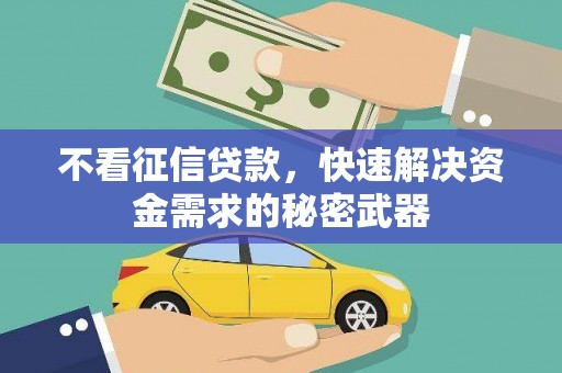 大冶不看征信贷款，快速解决资金需求的秘密武器
