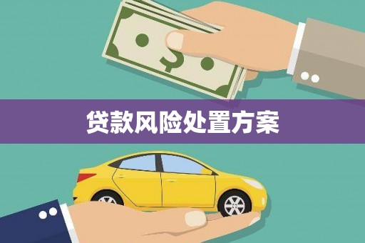 大冶贷款风险处置方案