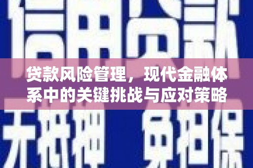 大冶贷款风险管理，现代金融体系中的关键挑战与应对策略