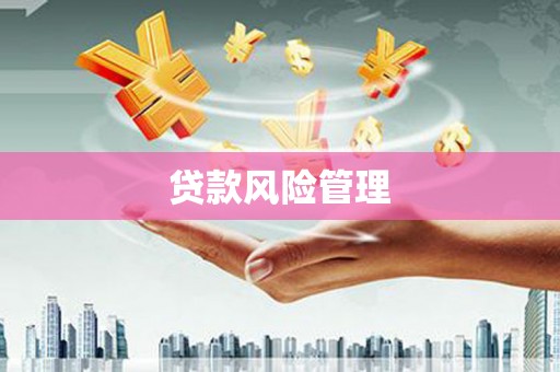 大冶贷款风险管理