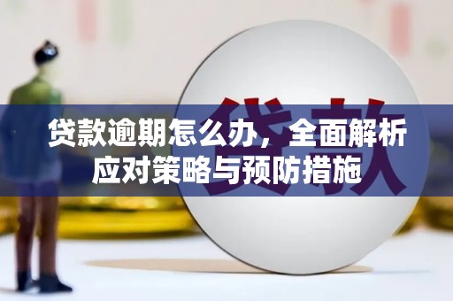 大冶贷款逾期怎么办，全面解析应对策略与预防措施