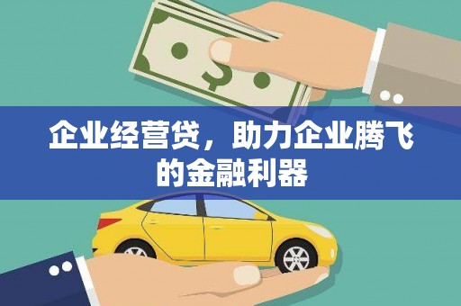 大冶企业经营贷，助力企业腾飞的金融利器