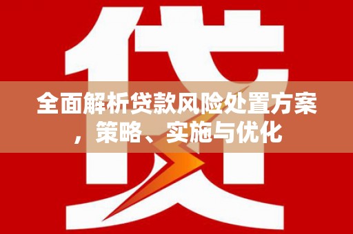 大冶全面解析贷款风险处置方案，策略、实施与优化