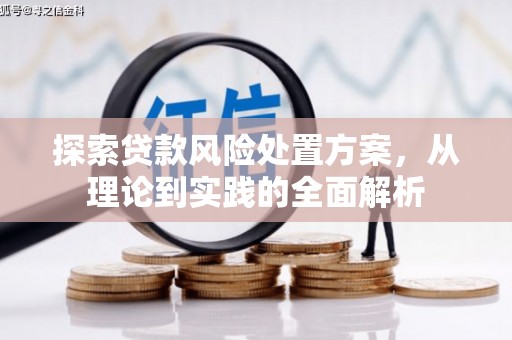 大冶探索贷款风险处置方案，从理论到实践的全面解析
