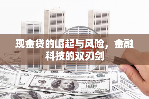 大冶现金贷的崛起与风险，金融科技的双刃剑
