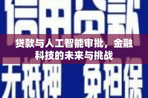 大冶贷款与人工智能审批，金融科技的未来与挑战