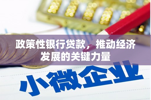 大冶政策性银行贷款，推动经济发展的关键力量