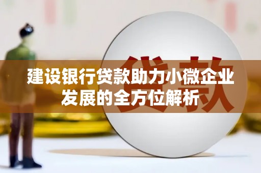 大冶建设银行贷款助力小微企业发展的全方位解析