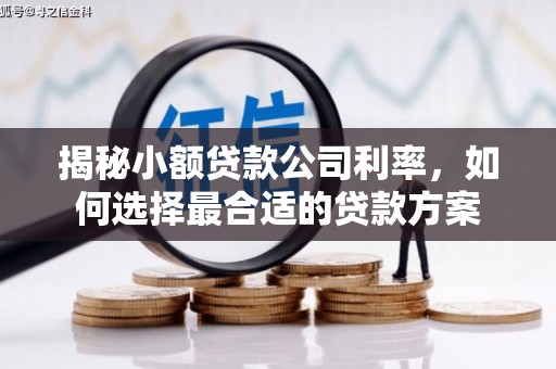 大冶揭秘小额贷款公司利率，如何选择最合适的贷款方案
