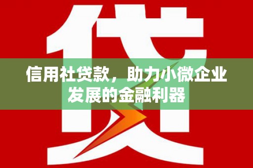 大冶信用社贷款，助力小微企业发展的金融利器