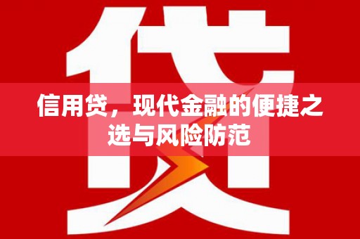 大冶信用贷，现代金融的便捷之选与风险防范