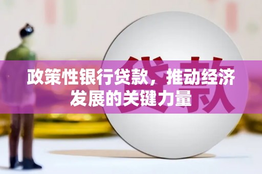 大冶政策性银行贷款，推动经济发展的关键力量