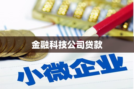 大冶金融科技公司贷款