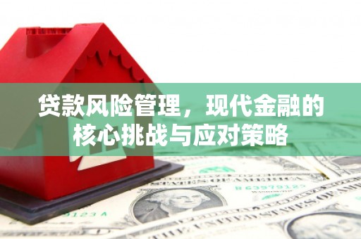 大冶贷款风险管理，现代金融的核心挑战与应对策略