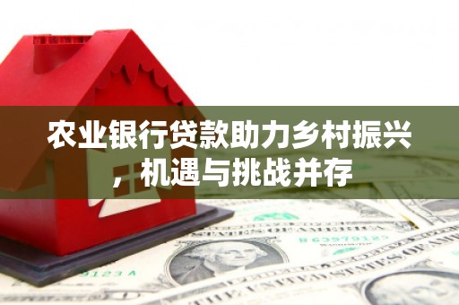 大冶农业银行贷款助力乡村振兴，机遇与挑战并存