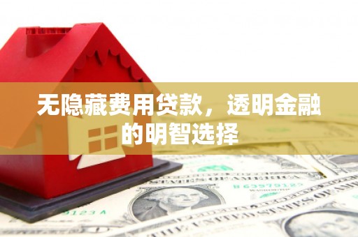 大冶无隐藏费用贷款，透明金融的明智选择