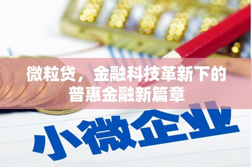 大冶微粒贷，金融科技革新下的普惠金融新篇章