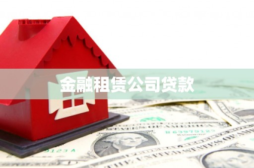 大冶金融租赁公司贷款