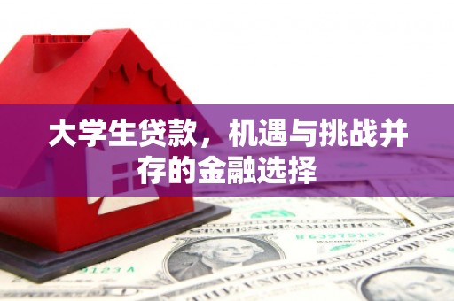 大冶大学生贷款，机遇与挑战并存的金融选择