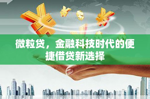 大冶微粒贷，金融科技时代的便捷借贷新选择