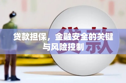 大冶贷款担保，金融安全的关键与风险控制