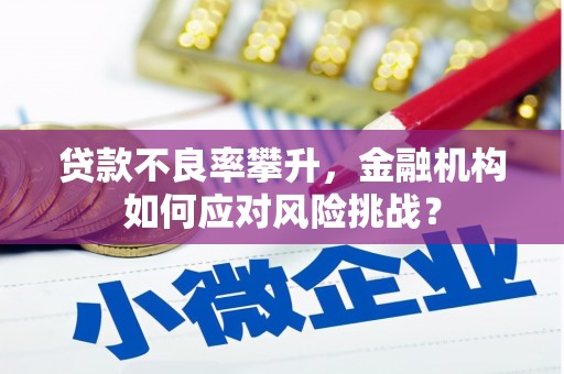 大冶贷款不良率攀升，金融机构如何应对风险挑战？