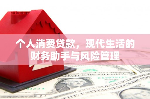 大冶个人消费贷款，现代生活的财务助手与风险管理