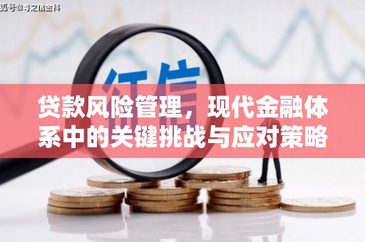 大冶贷款风险管理，现代金融体系中的关键挑战与应对策略