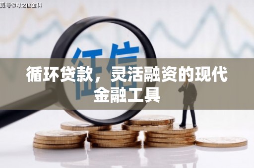 大冶循环贷款，灵活融资的现代金融工具